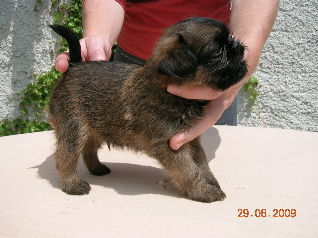 Snímek 015.jpg