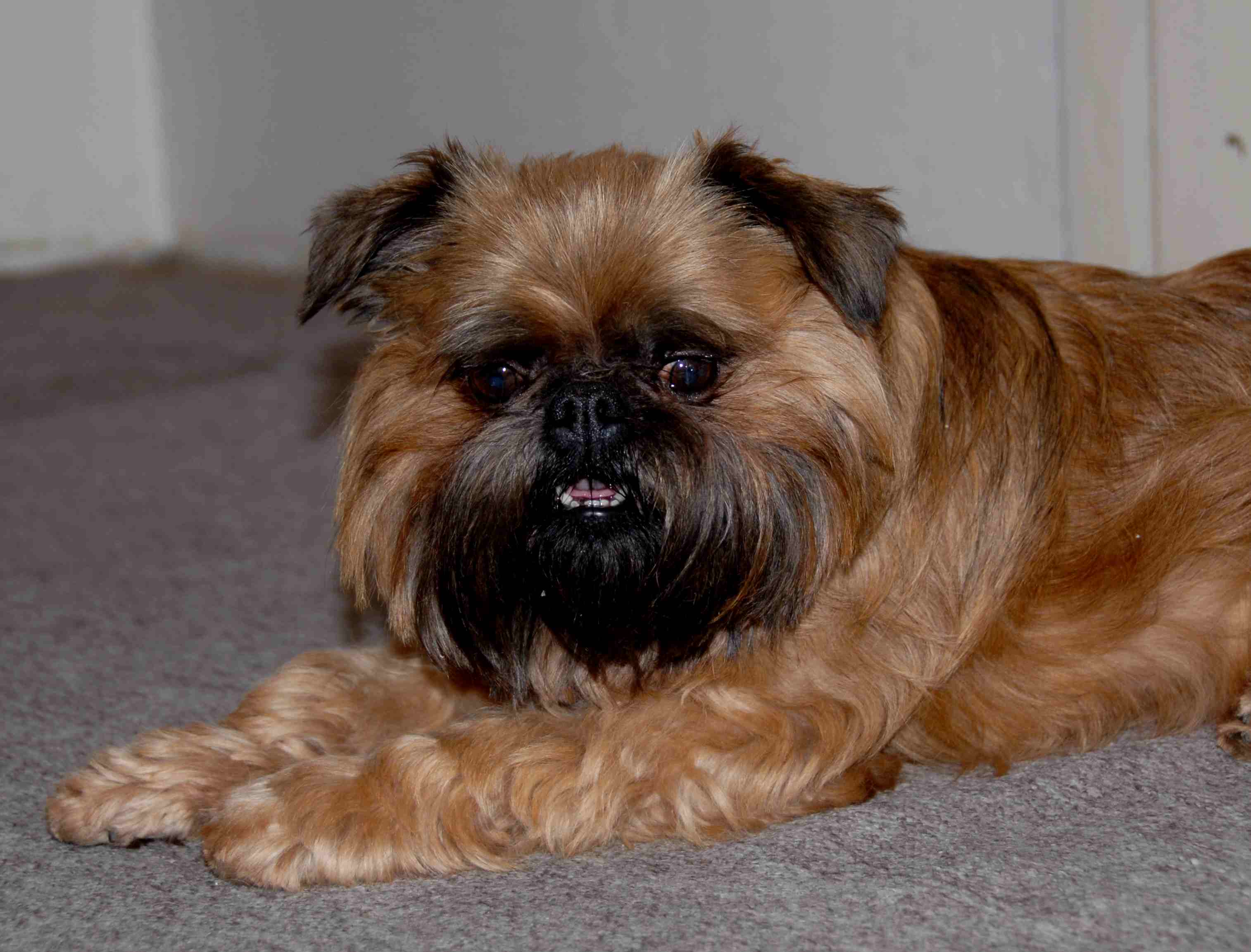 120122DuffyFeneckaBecky0083