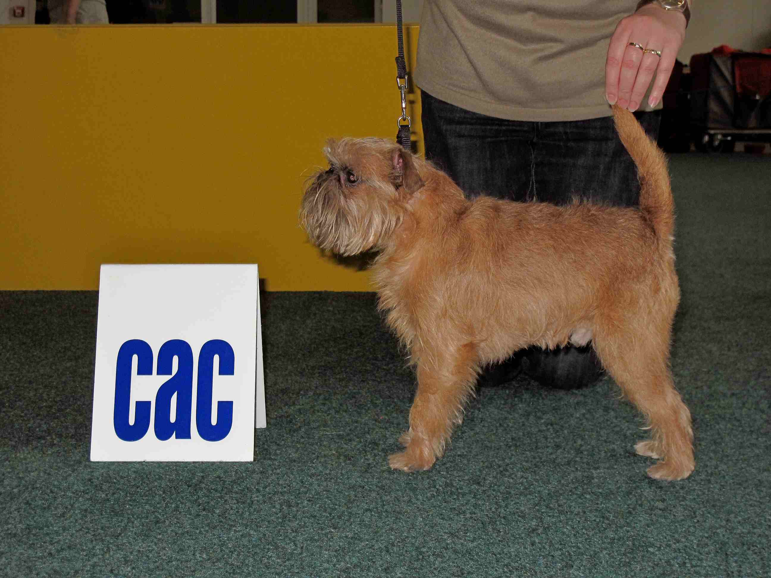 Duffy100515_Blava_0083